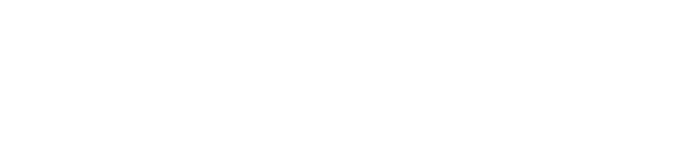 Aries AI